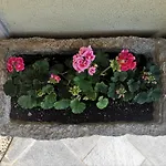 Private Apartment Hermes Art On The Karst Shared Pool & Parking Apartamento