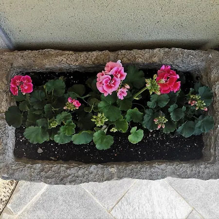 Private Hermes Art On The Karst Shared Pool & Parking Apartman