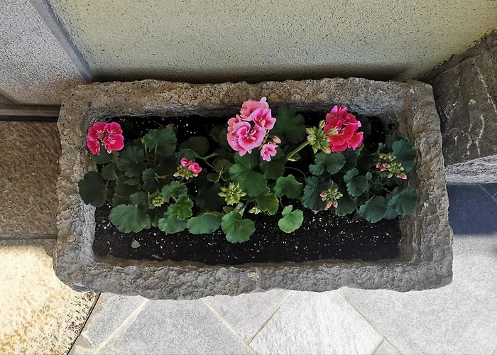 Trieste Hermes Art Appartement